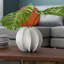 White Sea Star Vase