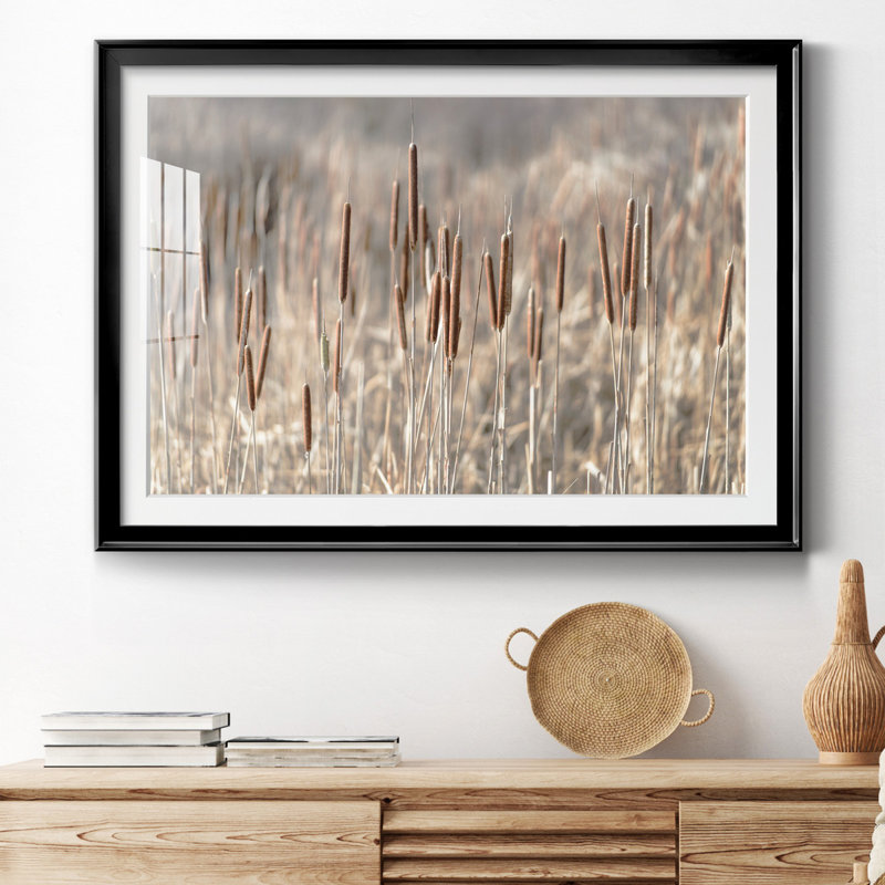 Summer Tails - Photographie avec cadre photo, H 18,5 po x l 24,5 po x P 1,5 po, Papier avec cadre noir