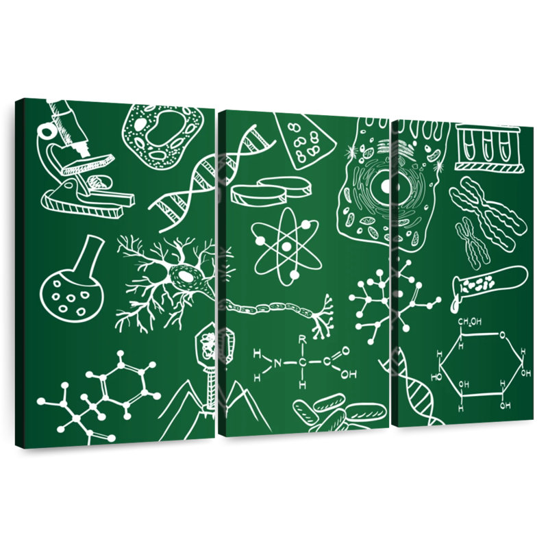 Keiri Chalkboard Science Doodle, 28" H x 45" W