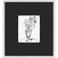 Charcoal Still Life Studies 1 Framed Watercolour Painting Print