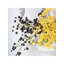 Trousse de rangement Golden Meadow (tiges seulement)