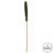 42'' Plant