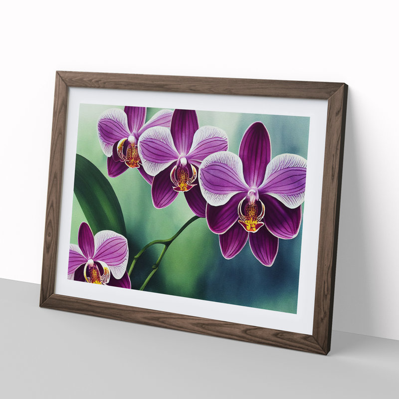 Luscious Orchid Flowers 1 Piece Single Picture Frame Wall Art, 25cm H x 34cm W x 2cm D, Walnut