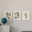 Fern Botanical IV - Ensemble de 3 peintures sur toile encadrées-1362442882-1362442895