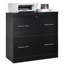 Jye 74 cm W 2 -Drawer Filing Cabinet-2030297055