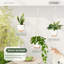 Paquet de 3 cintres pour plantes en macramé + pots à arrosage, supports de plafond intérieur / extérieur pour la décoration du balcon du jardin