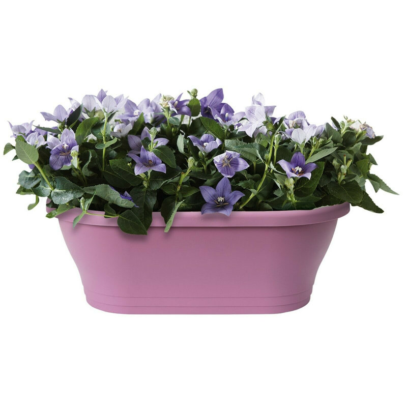 Wall Planter, Vivid Violet