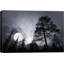 «Moonlight In The Forest» sur-99543900