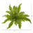 14'' Faux Fern Plant