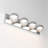 4 - Light Dimmable LED Vanity Light