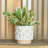 Winkler Starburst Stoneware Pot Planter