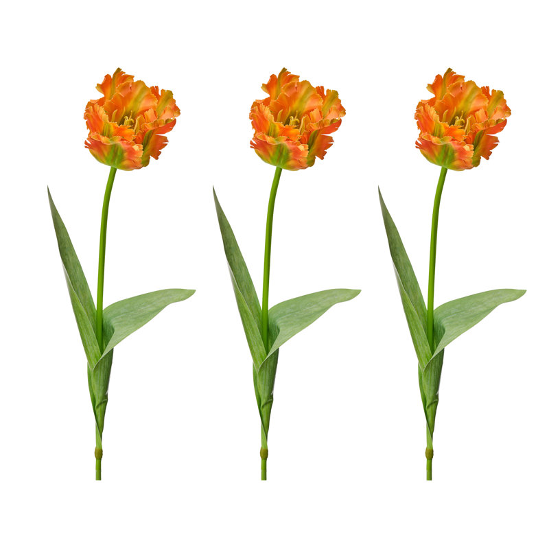Perroquet doux au toucher 28 po , Orange