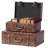 Mineo 2 Piece Manufactured Wood Accent Trunk