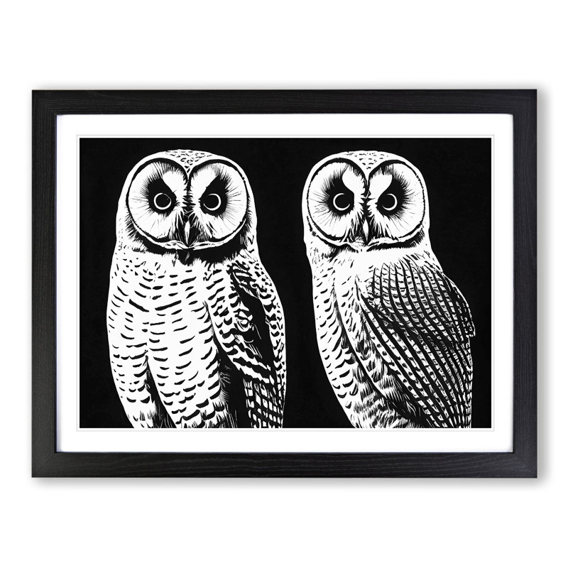 Owls - Single Picture Frame Print, Black Framed, 46cm H x 64cm W