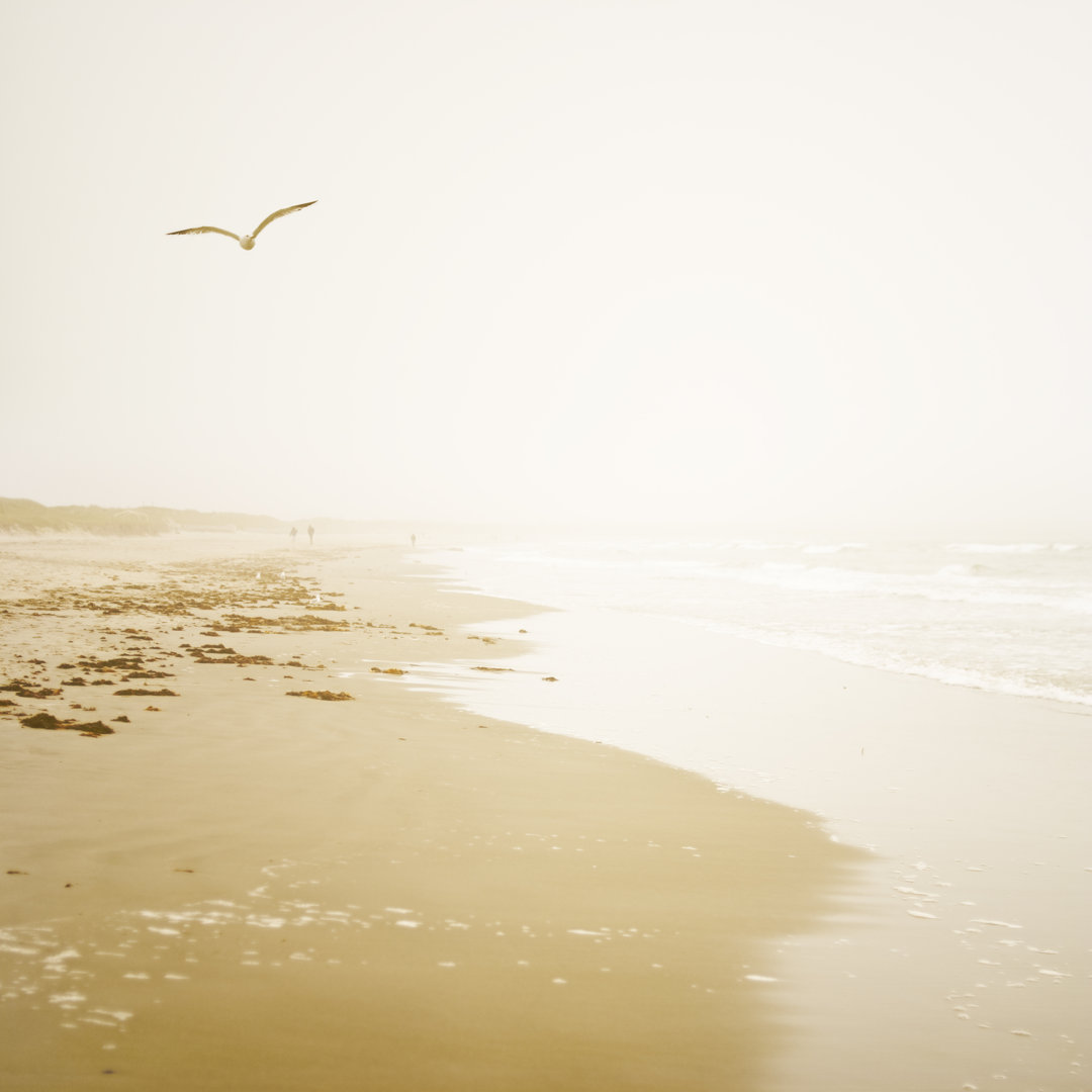 Strand Sonnenuntergang von StuartDuncanSmith - Leinwandbild