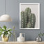 «Cactus Succulent Southwest Texas Mexico Saguaro» sur papier-98266325-98266330