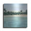 «Paradis I» par Grace Popp