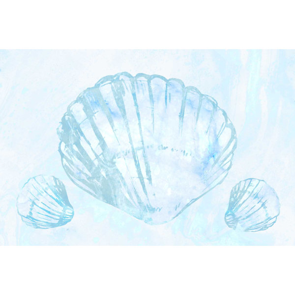 2.5 Round Capiz Shells 12 pcs. Seashells Windowpane Oyster Free
