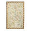 Wool Floral Area Rug in Beige