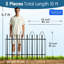61 cm H x 61 cm W Iron Fence Panels Fencing with 5 Panel(s) Included-940263393