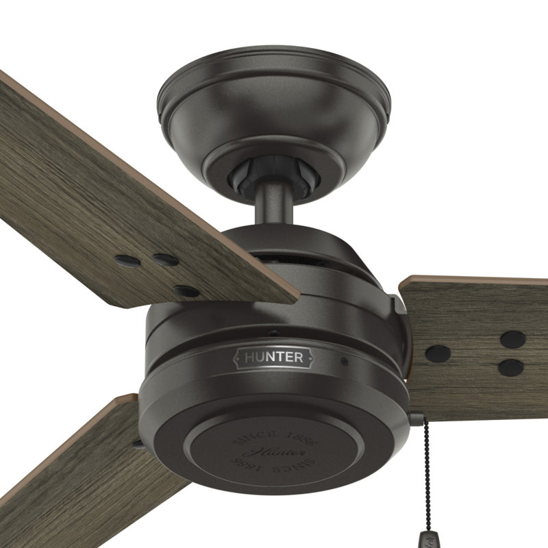52" Cassius 3 - Blade Outdoor Standard Ceiling Fan with Pull Chain, Noble Bronze