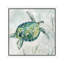 Seaglass Turtle I by Carol Robinson - Painting on Canvas-1496679806-1486779053