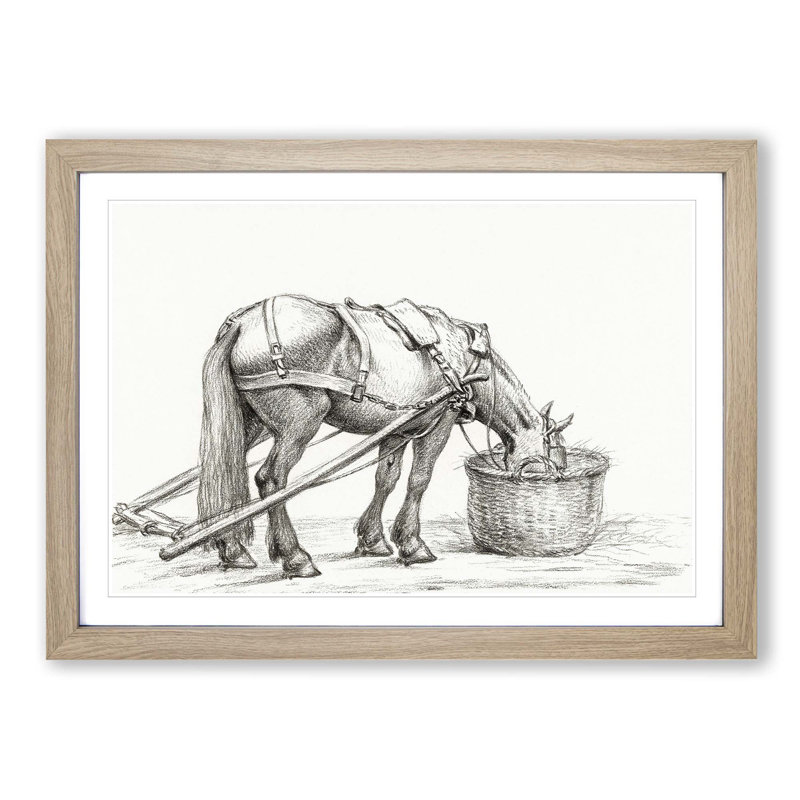 Horse Drinking by Jean Bernard - Picture Frame Drawing Print, 27cm H x 36cm W x 2cm D, Oak Framed