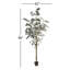 Arbre en pot Winnetka-27703841