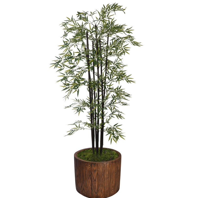 Panama 85'' Faux Bamboo Tree in Fiberstone Planter