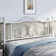 Anterrio Metal Open-Frame Bed with Butterfly Pattern Design Headboard and Footboard