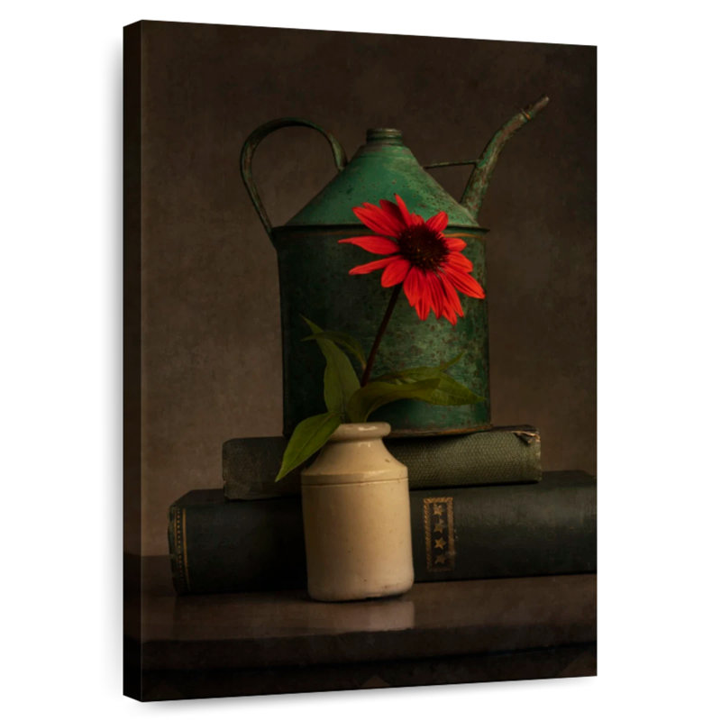 Harnek Rustic Red Coneflower, 12" H x 8" W
