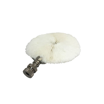 Faiteau de lampe corail champignon naturel