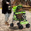 Poussette pour chien avec poussette réglable-101824084