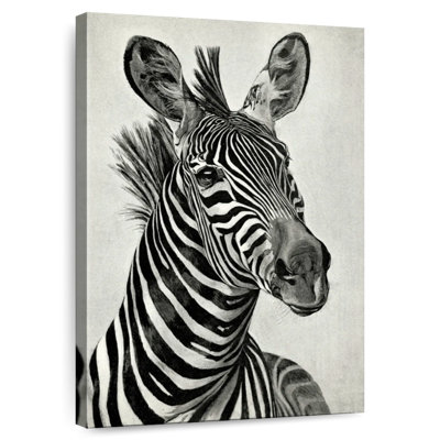 Illustration de zèbre Brampt rétro