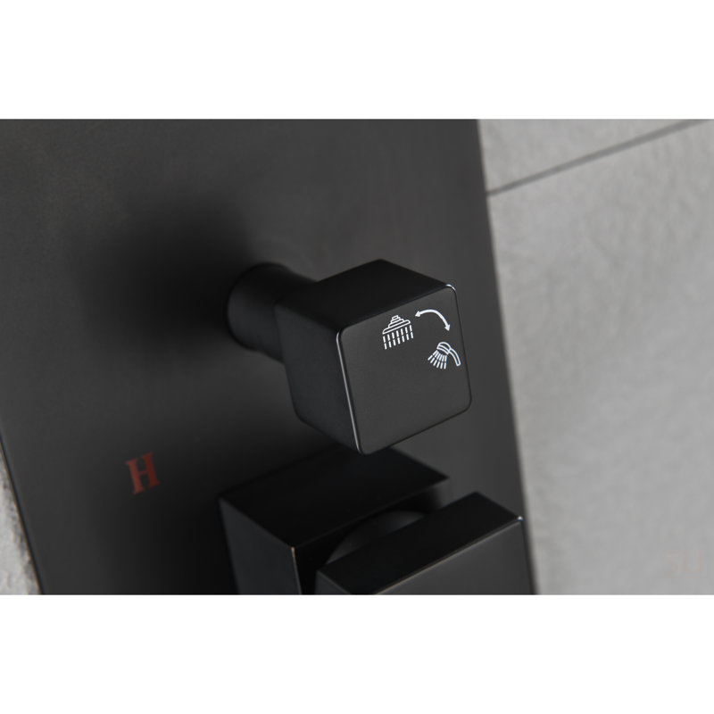Remplacement de l'ensemble de valve de poignée de douche en laiton massif 2 voies, Noir mat