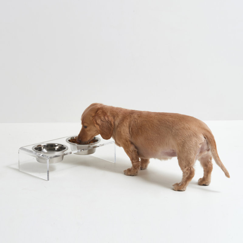Clear Elevated Feeder with Silver Bowls, 1.5 cups