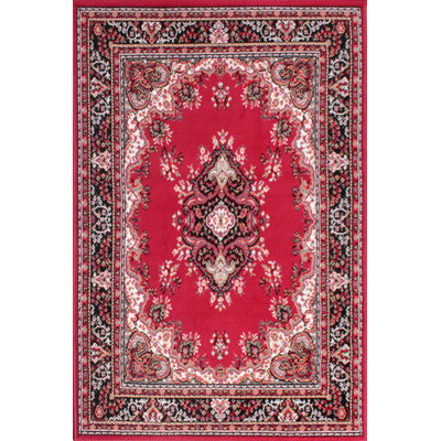 Nickelson Oriental Hand Woven Area Rug