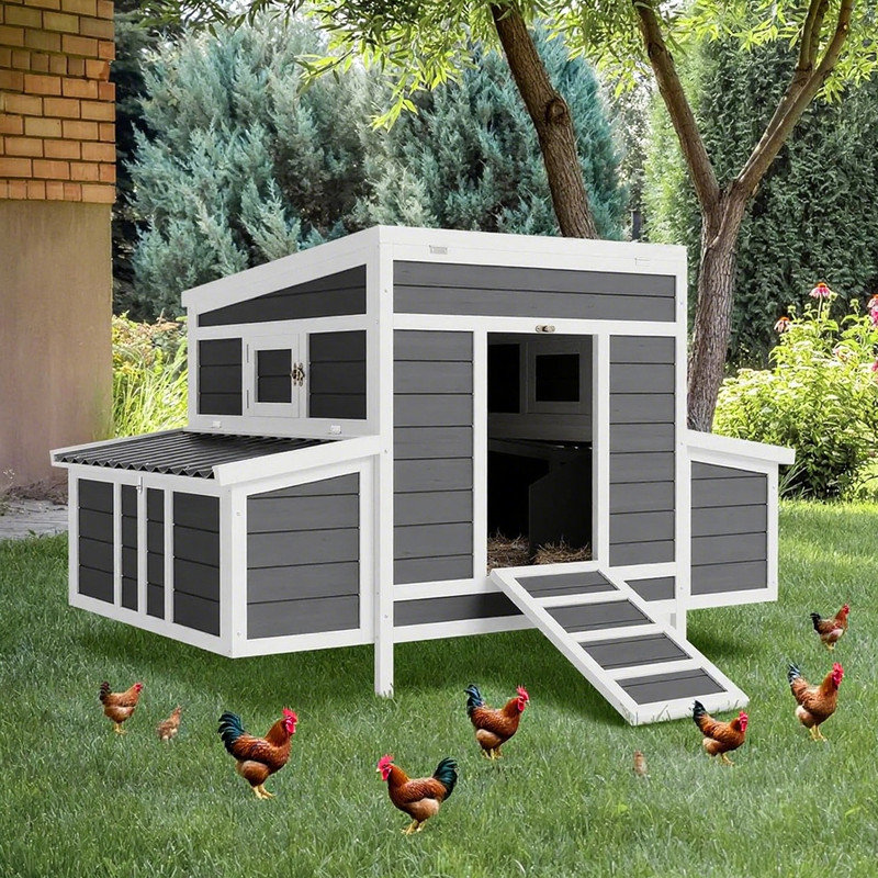 Chicken Coop