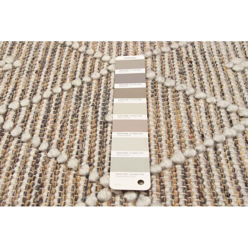 Tapis rectangulaire nouvel âge en laine brun clair unique 5 pi 1 po x 8 pi Demeria