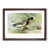 Walnut Framed selected