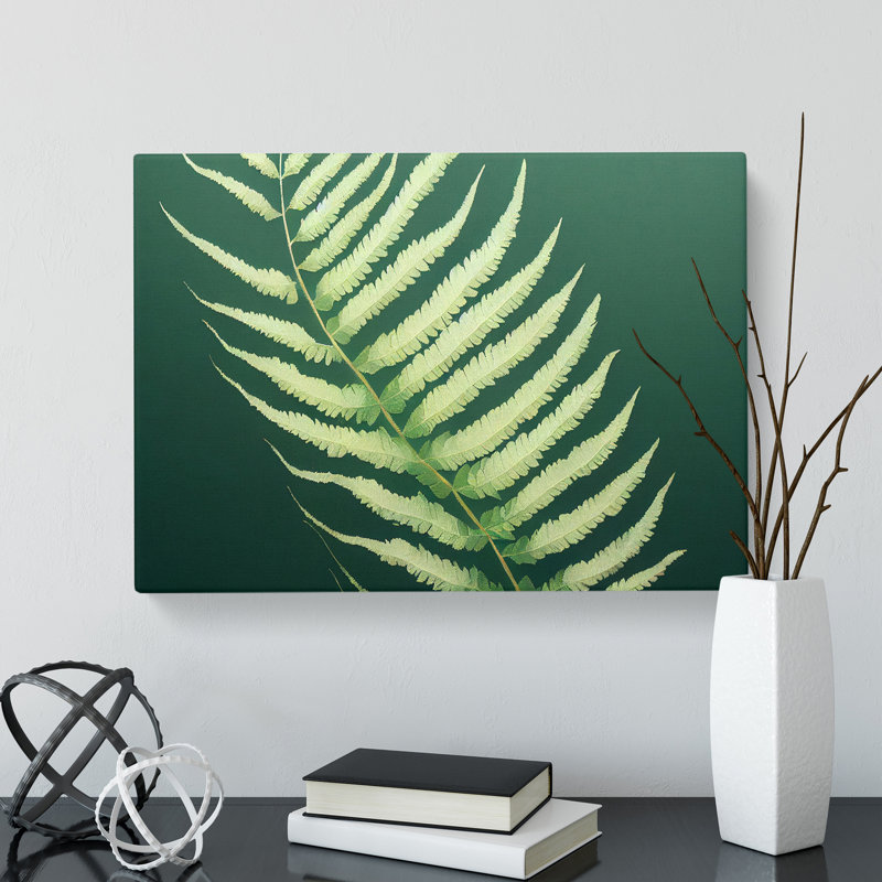Eccentric Fern Leaf - Wrapped Canvas Print, 35cm H x 50cm W x 3cm D