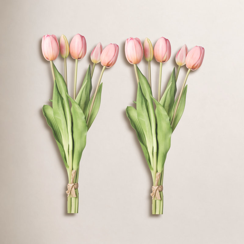 Tige de tulipe douce au toucher, Rosé