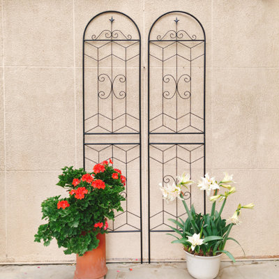 4 Pack Metal Garden Trellis 86.7" X 19.7" Rustproof Trellis For Climbing Plants Outdoor Flower Support Black