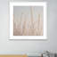 Hoar Frost White Print by Pernille Westh-48618356-48618359