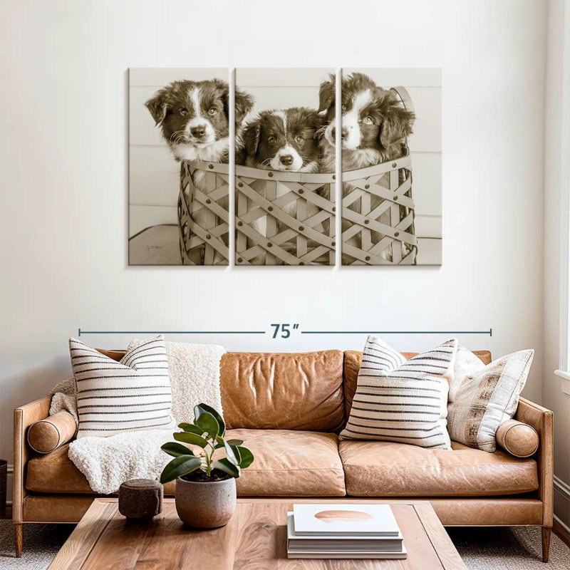 Brampt What A Cute Bundle, 36" H x 57" W