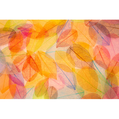 Abstrait Bellavista par Yaruta