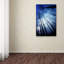 « blue forest » par philippe sainte-laudy, reproduction de photo sur toile tendue-14744020