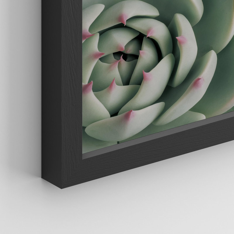 «Cactus Succulent Close Up Southwest Red Trip Green» sur papier, H 10 po x l 8 po, Noir