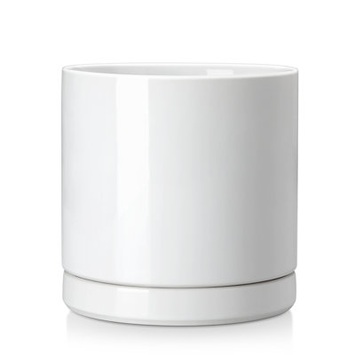 FLHPOT Ceramic Pot Planter