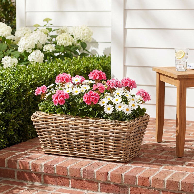 Rectangular Planter With Plastic Insert